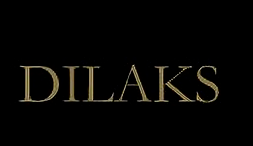 DILAIKESI迪莱珂斯-为成功白领女性打造的时尚与优雅融合的品牌